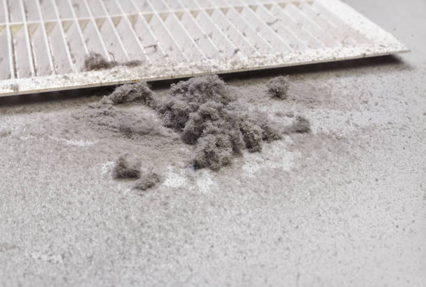 Best Commercial Air Duct Cleaning  in Bartlett, TN