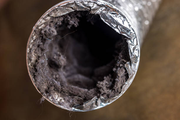 Best Emergency Air Duct Cleaning  in Bartlett, TN